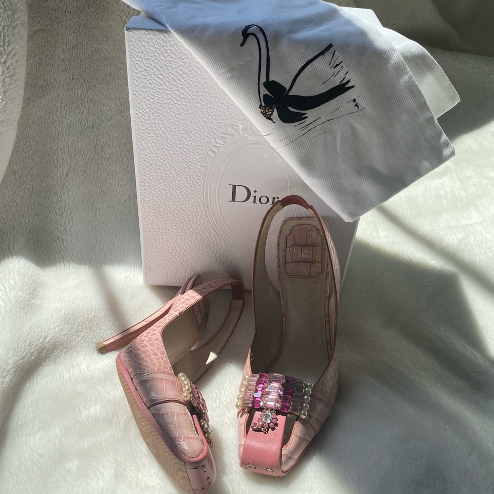 Christian Dior Rose Maharaja Baller Pumps
